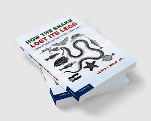 How the Snake Lost its Legs