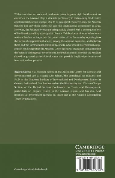 The Amazon from an International Law Perspective