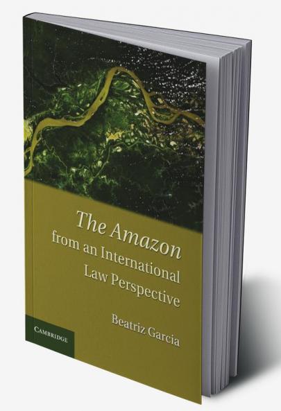 The Amazon from an International Law Perspective