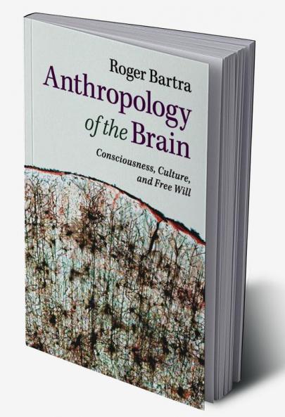 Anthropology of the Brain