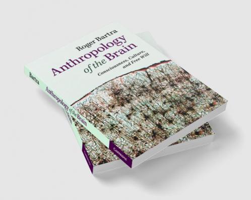 Anthropology of the Brain