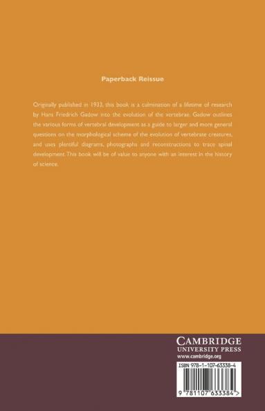 The Evolution of the Vertebral Column