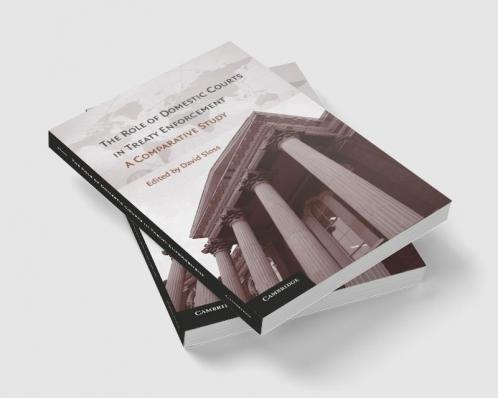 The Role of Domestic Courts in Treaty Enforcement