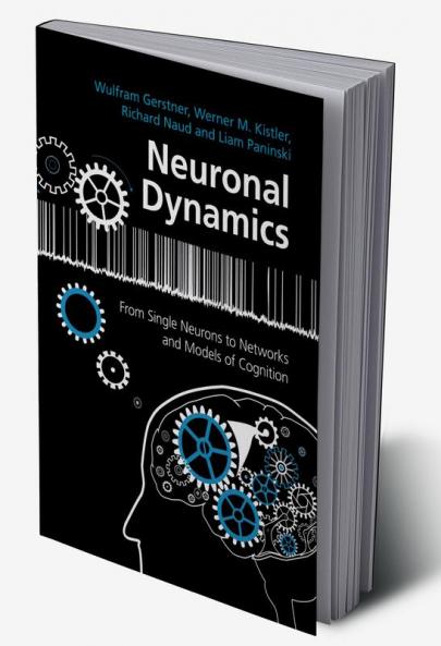Neuronal Dynamics
