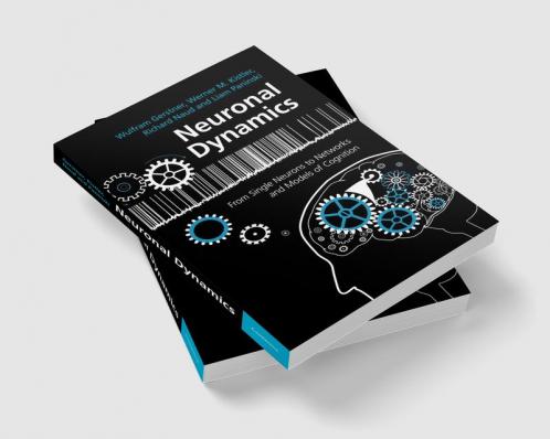 Neuronal Dynamics