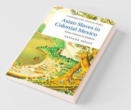 Asian Slaves in Colonial Mexico