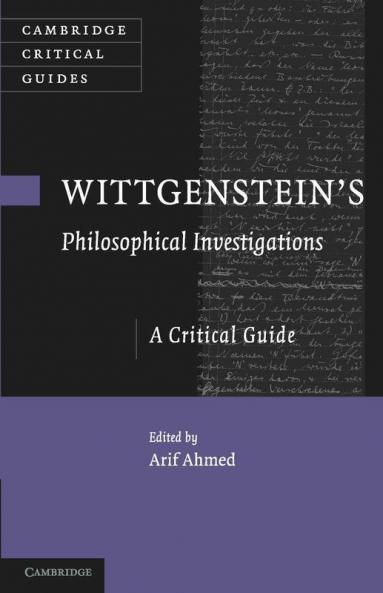 Wittgenstein's Philosophical Investigations