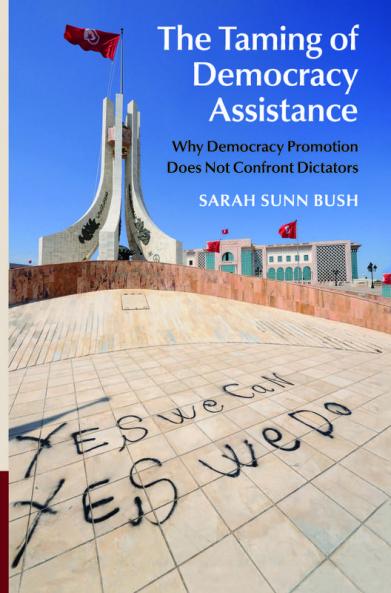 The Taming of Democracy Assistance