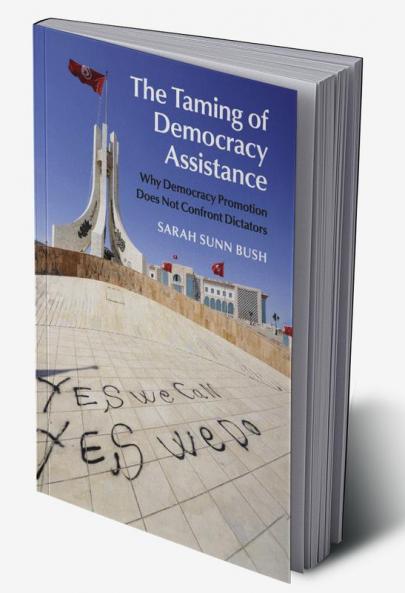 The Taming of Democracy Assistance