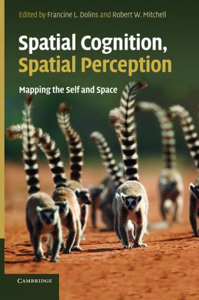 Spatial Cognition Spatial Perception