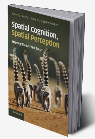 Spatial Cognition Spatial Perception