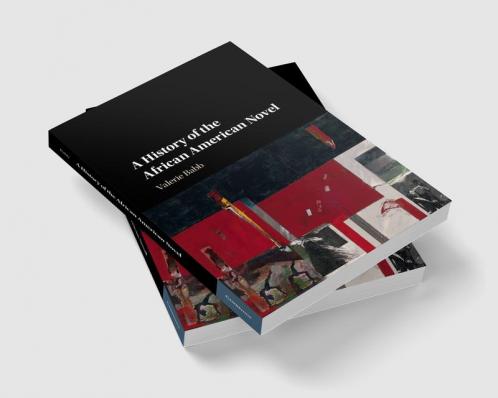 A History of the African American Novel