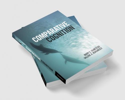 Comparative Cognition