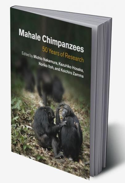 Mahale Chimpanzees