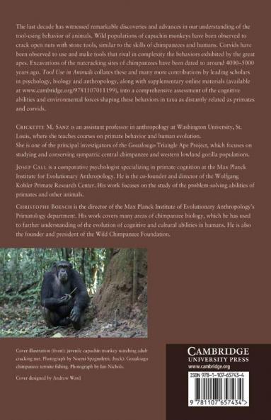 Tool Use in Animals