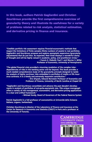 Granularity Theory with Applications to Finance and Insurance