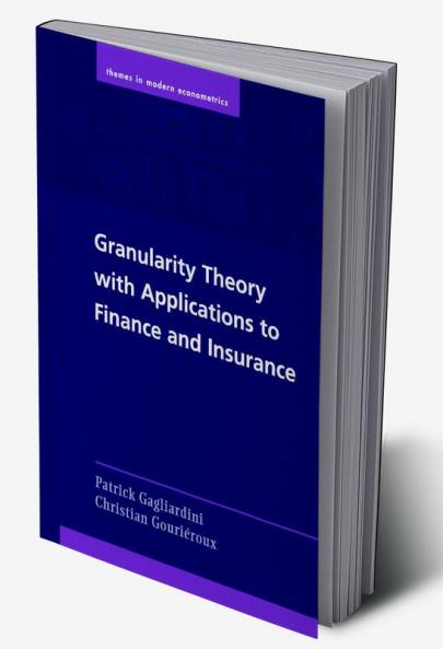 Granularity Theory with Applications to Finance and Insurance
