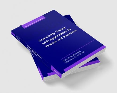 Granularity Theory with Applications to Finance and Insurance
