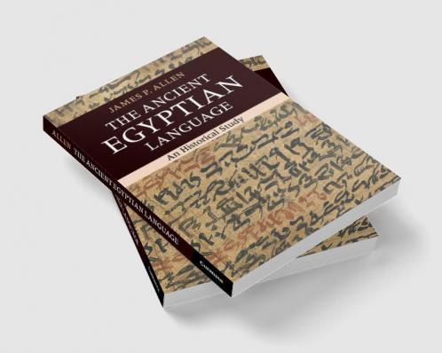 The Ancient Egyptian Language
