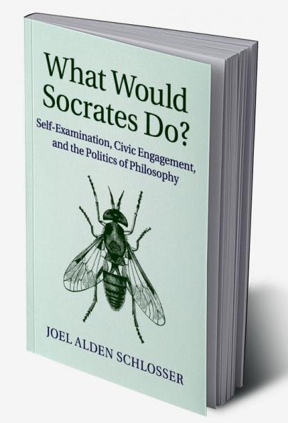 What Would Socrates Do?