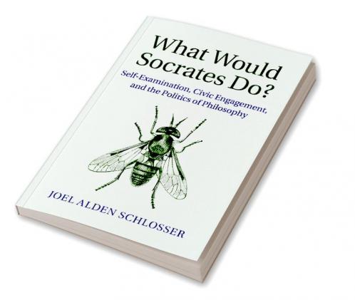 What Would Socrates Do?