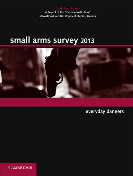 Small Arms Survey 2013
