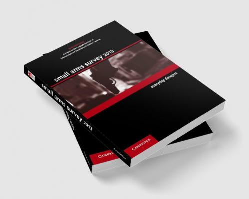 Small Arms Survey 2013