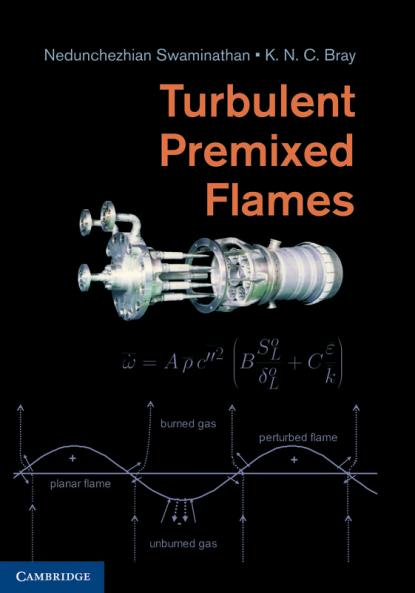 Turbulent Premixed Flames