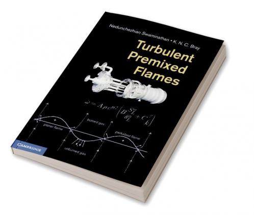 Turbulent Premixed Flames