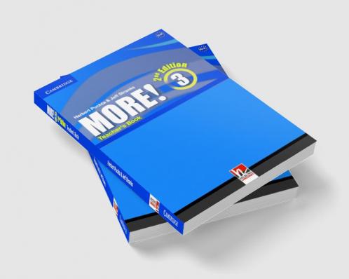 More! Level 3 Teacher's Book