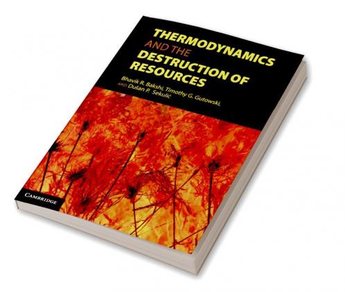 Thermodynamics and the Destruction of             Resources