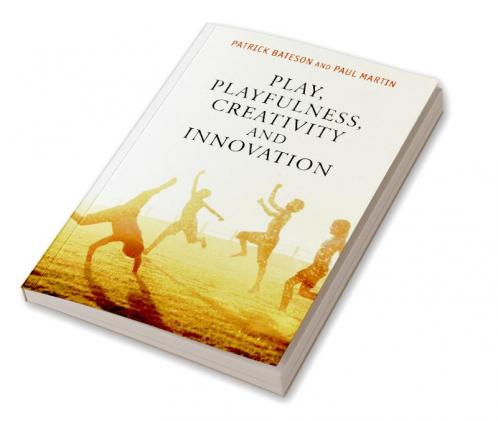Play Playfulness Creativity and Innovation