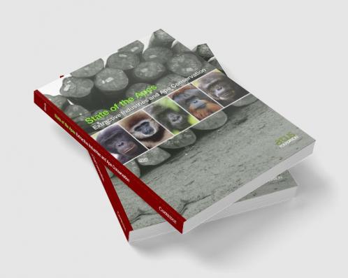 Extractive Industries and Ape Conservation
