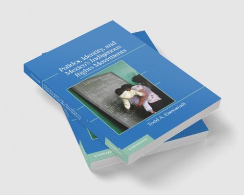 Politics Identity and Mexico S Indigenous Rights Movements