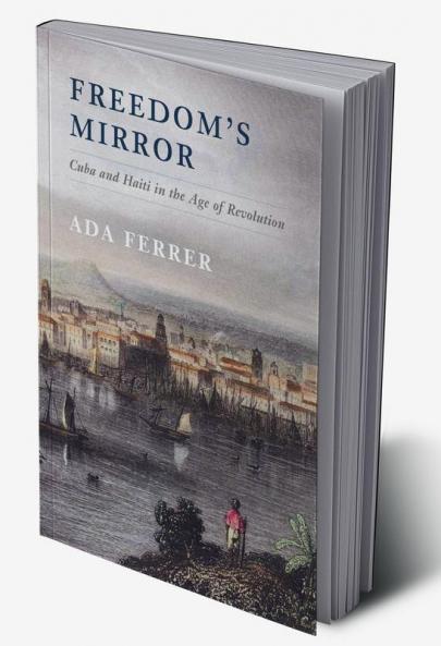 Freedom's Mirror