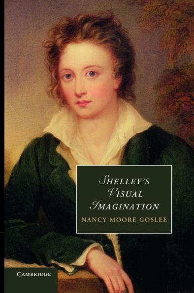 Shelley's Visual Imagination