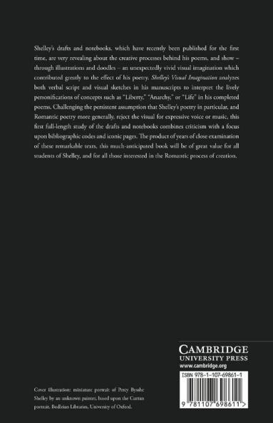 Shelley's Visual Imagination