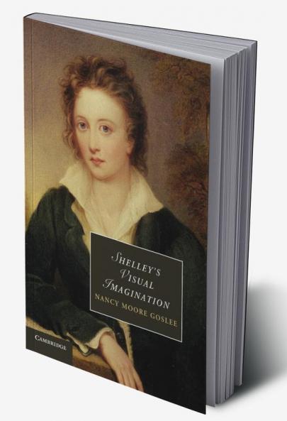 Shelley's Visual Imagination