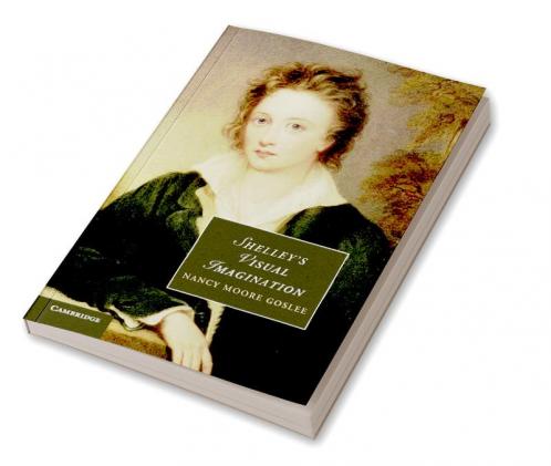 Shelley's Visual Imagination