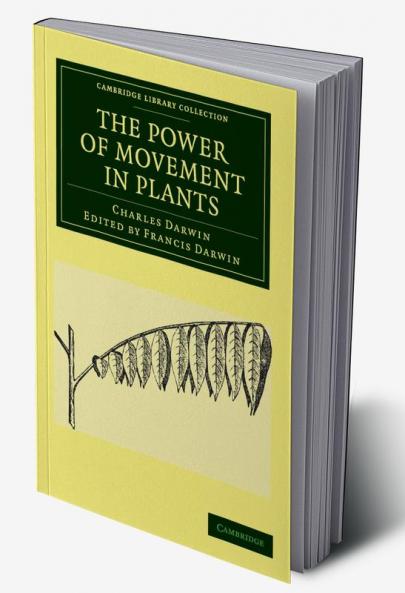 The Power of Movement in Plants