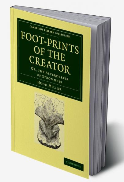 Foot-Prints of the Creator