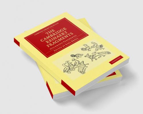 The Cambridge Reinaert Fragments