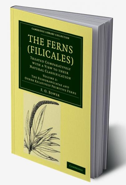 The Ferns (Filicales)