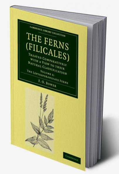 The Ferns (Filicales)
