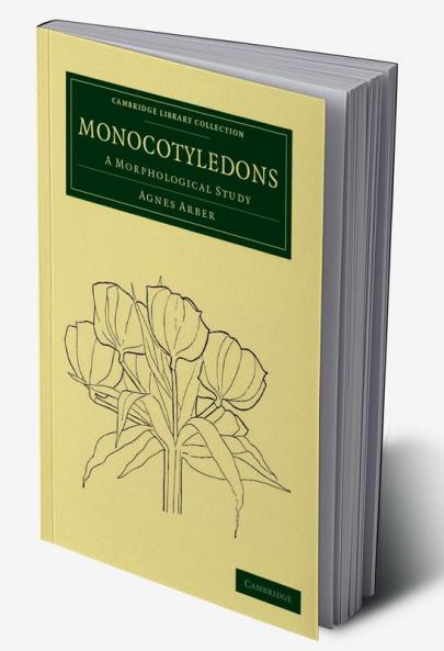Monocotyledons