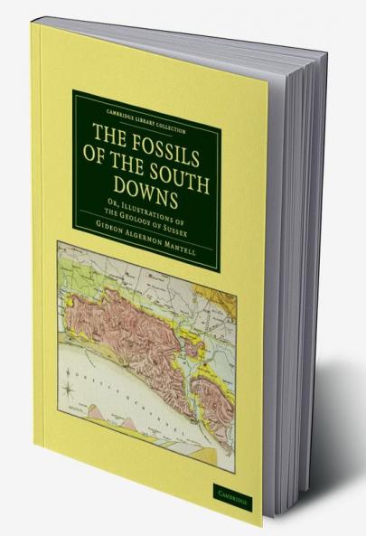 The Fossils of the South Downs