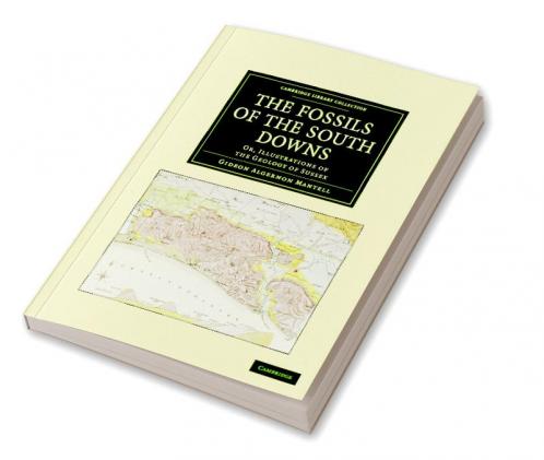 The Fossils of the South Downs
