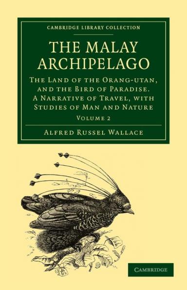 The Malay Archipelago - Volume 2