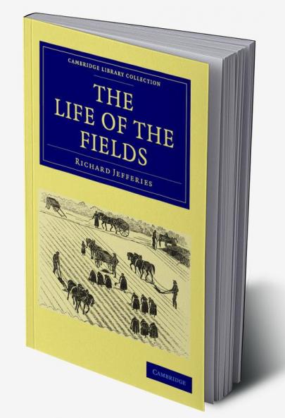 The Life of the Fields