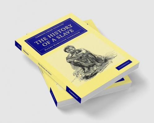 The History of a Slave